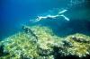 Unterwasser schnorcheln bei Cala Ratjada