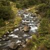 Neuseeland - Tongariro - Silica Rapids Walk, Whakapapa