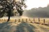 Morgendlicher Nebel auf den Feldern in der Nähe von Witterschlick